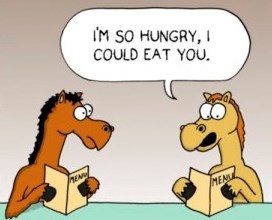 idiom چیست؟ _ eat a horse